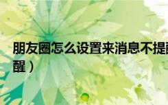 朋友圈怎么设置来消息不提醒（怎么设置朋友圈消息不再提醒）