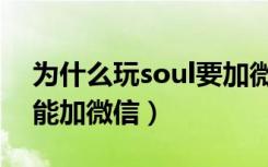 为什么玩soul要加微信（玩soul的为什么不能加微信）