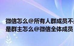 微信怎么@所有人群成员不是群主（最新装逼玩法：微信不是群主怎么@微信全体成员）