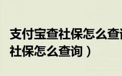 支付宝查社保怎么查询缴费几个月（支付宝查社保怎么查询）