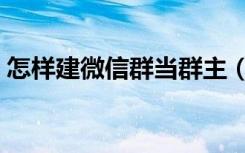 怎样建微信群当群主（建微信群的操作步骤）