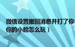 微信设置撤回消息并打了你一下（微信撤回一条消息并摸了你的小脸怎么玩）