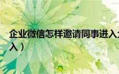 企业微信怎样邀请同事进入企业（企业微信如何邀请同事加入）