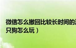 微信怎么撤回比较长时间的消息（微信撤回消息向你扔了一只狗怎么玩）