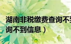 湖南非税缴费查询不到信息（湖南非税缴费查询不到信息）