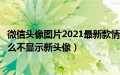 微信头像图片2021最新款情侣头像（微信好友换了头像为什么不显示新头像）