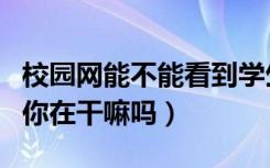 校园网能不能看到学生在干嘛（校园网能看到你在干嘛吗）