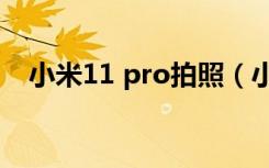 小米11 pro拍照（小米11专业拍照教程）