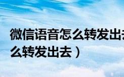 微信语音怎么转发出去给别人听（微信语音怎么转发出去）