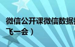 微信公开课微信数据报告（微信公开课让数据飞一会）