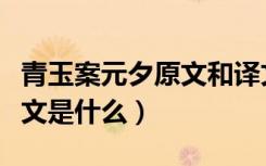 青玉案元夕原文和译文（《青玉案元夕》的原文是什么）