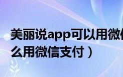 美丽说app可以用微信支付吗（手机美丽说怎么用微信支付）