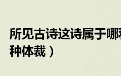 所见古诗这诗属于哪种体裁（《所见》属于哪种体裁）