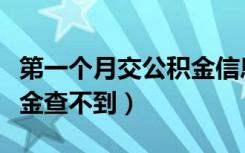 第一个月交公积金信息查不到（第一次交公积金查不到）