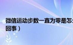 微信运动步数一直为零是怎么回事（微信运动步数为零怎么回事）