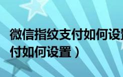 微信指纹支付如何设置支付顺序（微信指纹支付如何设置）