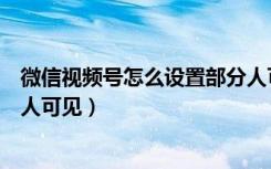 微信视频号怎么设置部分人可见（微信视频号怎么设置部分人可见）