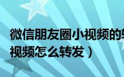 微信朋友圈小视频的转发方法（微信朋友圈小视频怎么转发）