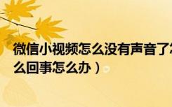 微信小视频怎么没有声音了怎么办（微信小视频没有声音怎么回事怎么办）