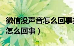 微信没声音怎么回事打电话正常（微信没声音怎么回事）