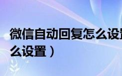 微信自动回复怎么设置视频（微信自动回复怎么设置）