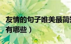 友情的句子唯美最简短（友情的句子唯美简短有哪些）