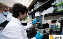 免疫学研究人员探索调节性 T 细胞生物学以开发活性药物