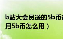 b站大会员送的5b币在哪里领取（大会员每个月5b币怎么用）