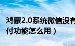 鸿蒙2.0系统微信没有面容支付吗（微信5.0支付功能怎么用）