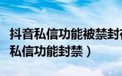 抖音私信功能被禁封在哪里查看（为什么抖音私信功能封禁）