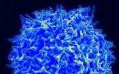 敲除特定基因可防止 T 细胞衰竭