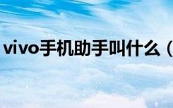 vivo手机助手叫什么（vivo手机助手叫什么）