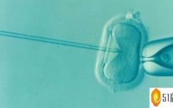 由于镶嵌异常而未植入的许多IVF胚胎可能是可行的