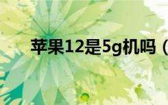 苹果12是5g机吗（苹果12怎么开5g）