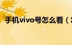 手机vivo号怎么看（怎么查手机型号vivo）