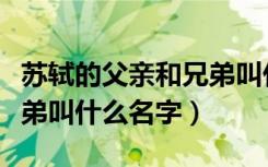 苏轼的父亲和兄弟叫什么名（苏轼的父亲和兄弟叫什么名字）