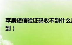 苹果短信验证码收不到什么原因（苹果短信验证码怎么收不到）