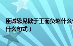 臣诚恐见欺于王而负赵什么句式（臣诚恐见欺于王而负赵是什么句式）