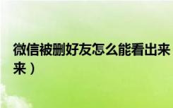 微信被删好友怎么能看出来（微信被删好友怎么才可以看出来）