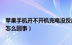 苹果手机开不开机充电没反应（手机开不开机充电没反应是怎么回事）