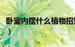 卧室内摆什么植物招财（卧室摆什么植物招财）