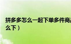 拼多多怎么一起下单多件商品（拼多多两件商品一起下单怎么下）