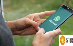 whatsapp群聊怎样知道都看了消息（WhatsApp错误可能会导致应用程序崩溃并删除群聊）