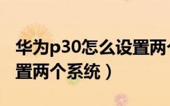 华为p30怎么设置两个系统（华为p30怎么设置两个系统）