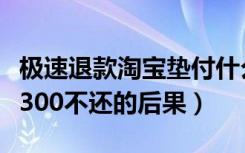 极速退款淘宝垫付什么意思啊（极速退款垫付300不还的后果）