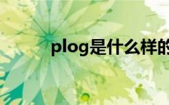 plog是什么样的（plog是什么）