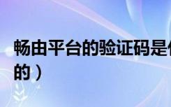 畅由平台的验证码是什么（畅由平台是干什么的）