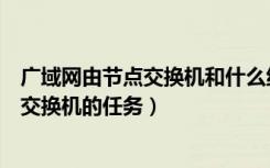 广域网由节点交换机和什么组成（广域网通信中什么不是包交换机的任务）