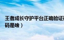 王者成长守护平台正确验证码（成长守护平台人脸识别验证码是啥）