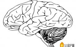 对于大脑上下文是运动和记忆新理论的关键
